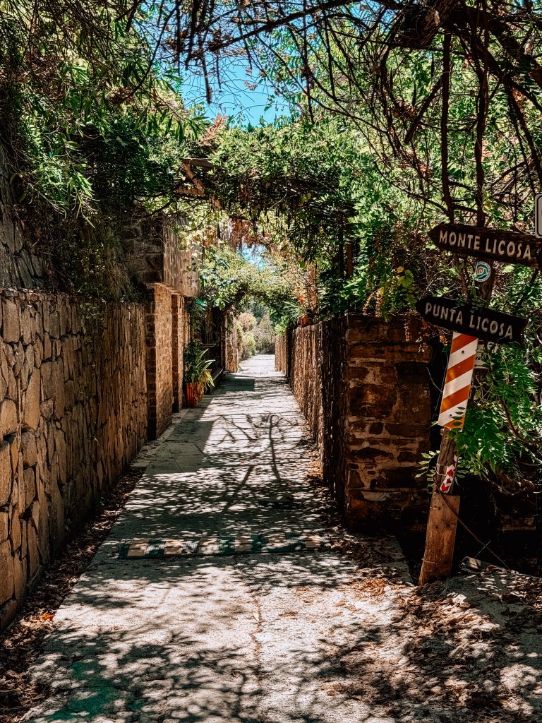 sentiero punta licosa
